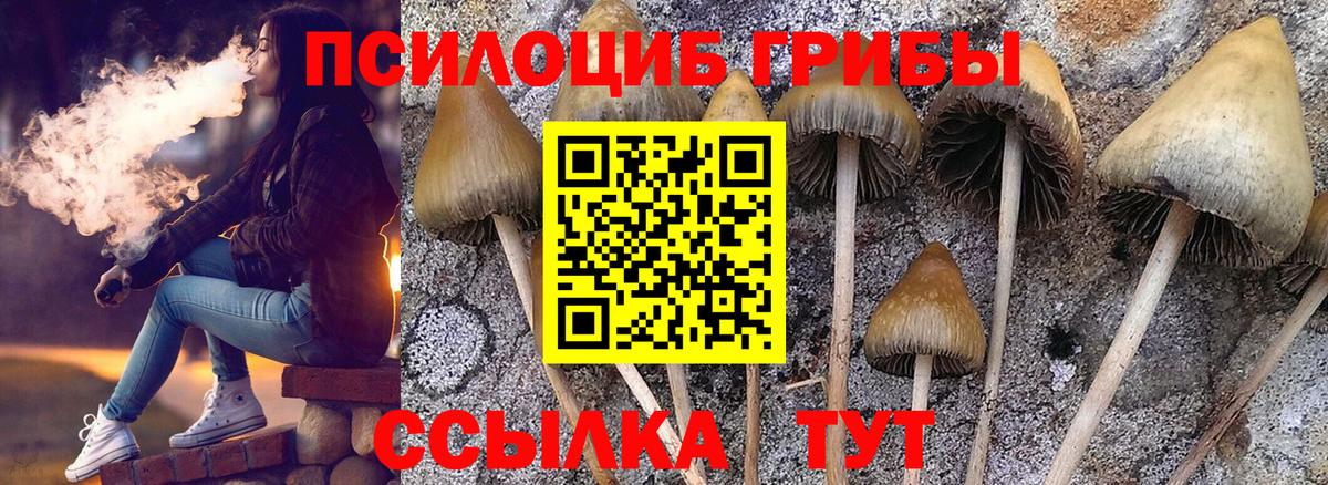 Галлюциногенные грибы мухоморы Балабаново