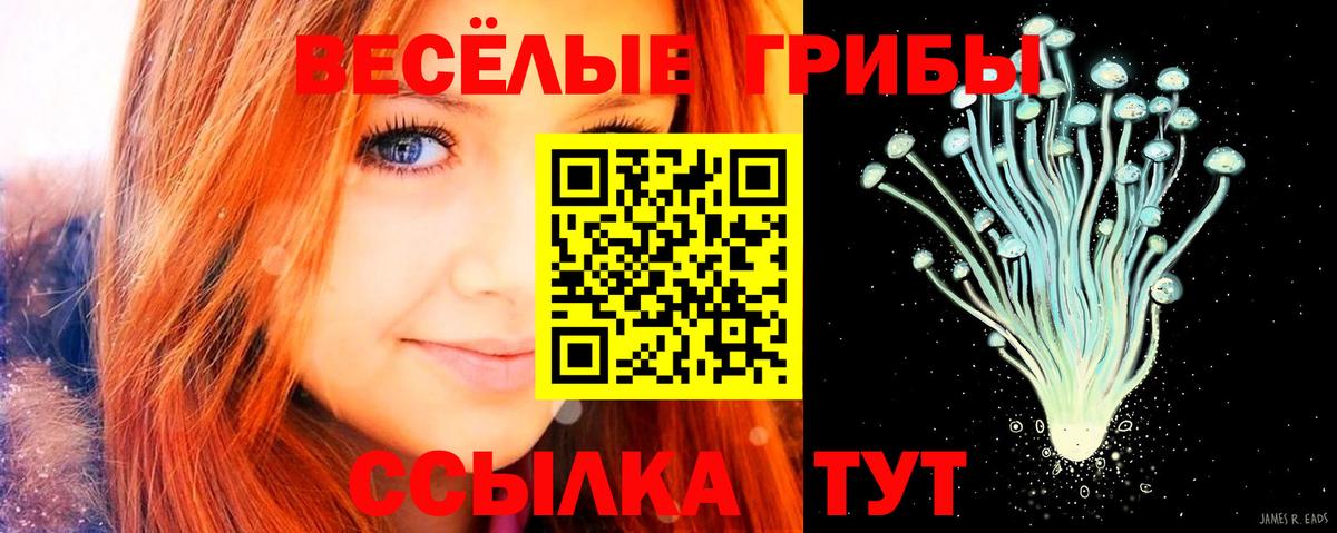 Псилоцибиновые грибы Magic Shrooms  Вход с VPN  Балабаново 